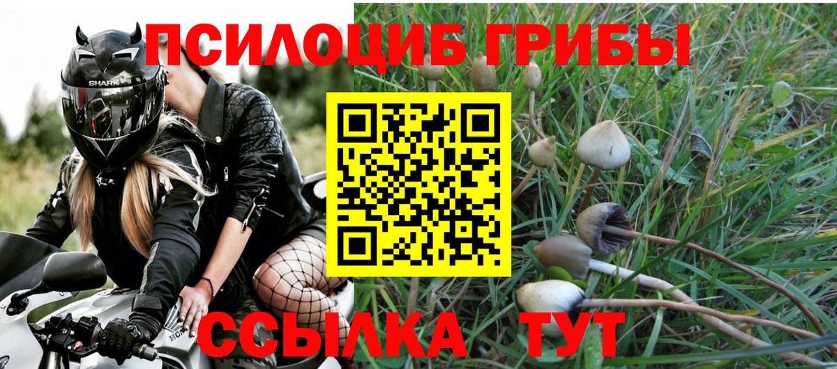 Псилоцибиновые грибы ЛСД Коммунар