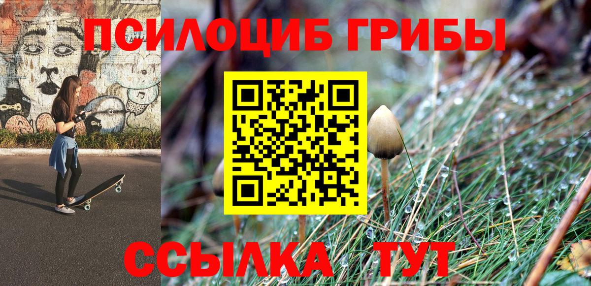 Коммунар  Псилоцибиновые грибы мухоморы  наркота  Вход с VPN 
