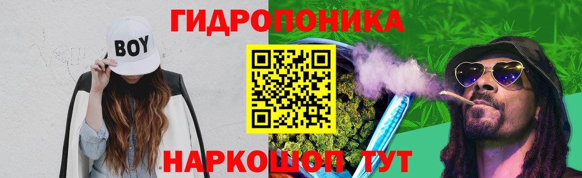 Коммунар  Бошки Шишки сатива  Вход с VPN  Шишки марихуана SATIVA & INDICA  Каннабис сатива  Шишки марихуана гибрид 